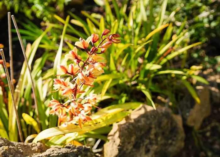 Cliffside Boho Villa