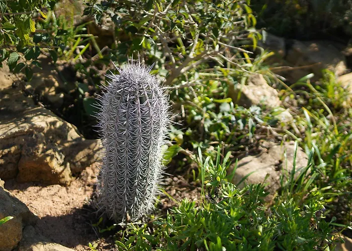 Cliffside Boho Villa