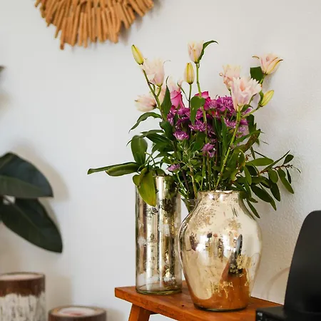 Cliffside Boho فيلة *