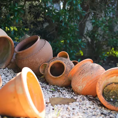 Cliffside Boho Villa Alagoas