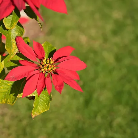 Villa Cliffside Boho *
