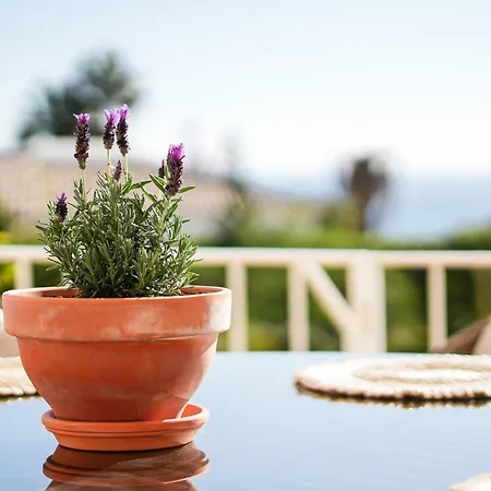 Villa Cliffside Boho